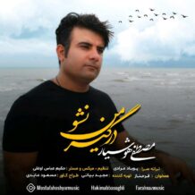 دانلود آهنگ جدید مصطفی هوشیار به نام درگیر من نشو